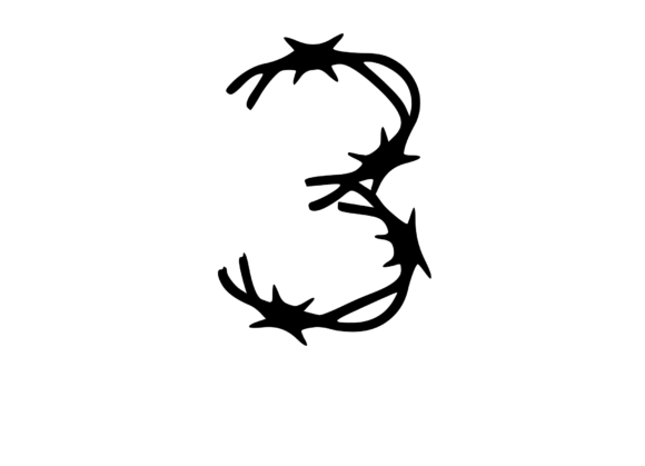 Sharp Barbed Security Wire Mon 3: A Designer’s Take